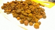 COW AND OX GALLSTONES